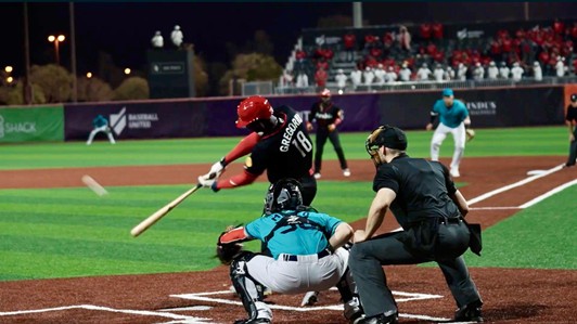 インド  野球リーグ